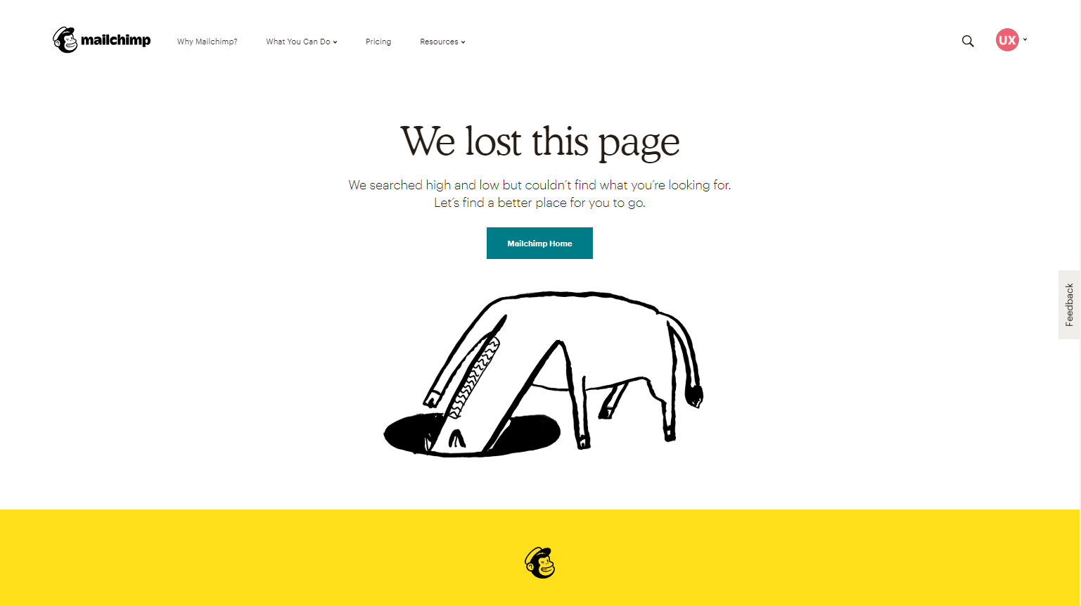 mailchimp error page