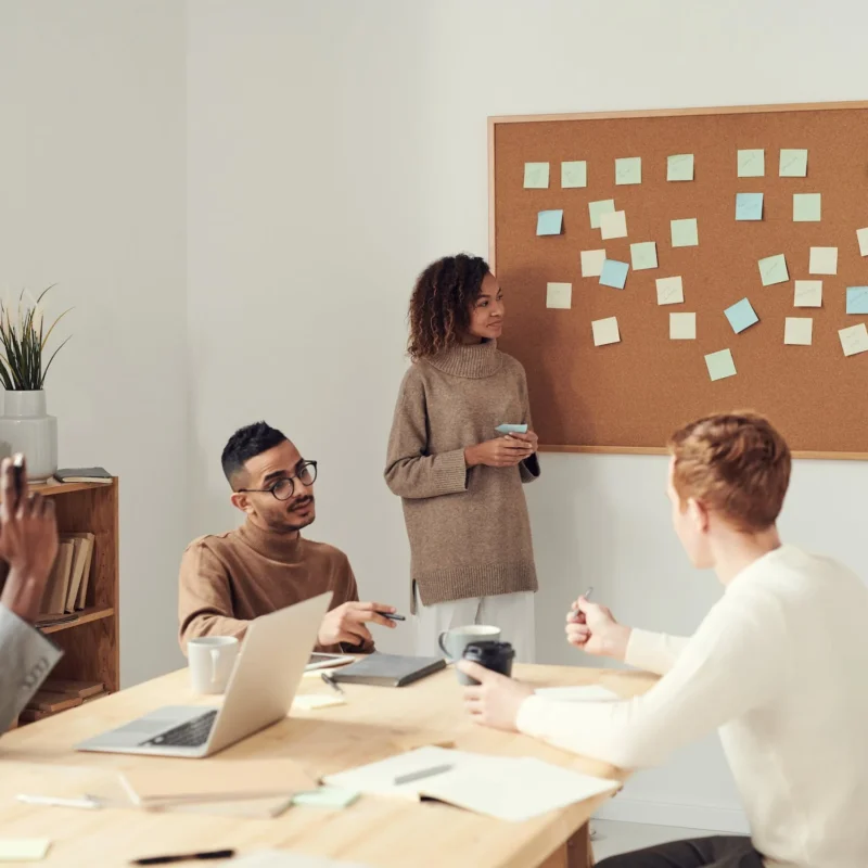 User Experience Roles